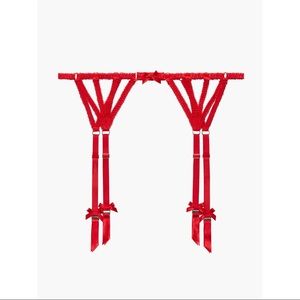 NWT Savage X Fenty- Ultra Sexy Satin Garter Belt (Goji Berry Red)
